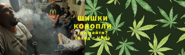 ECSTASY Богородицк